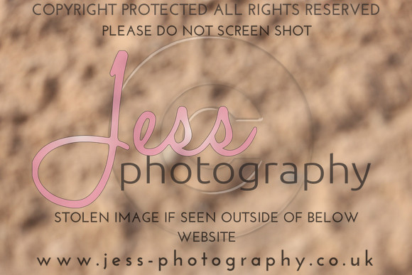TSJ_0026