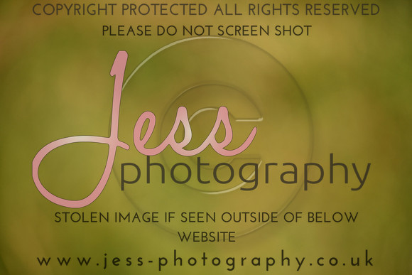 JES (342)