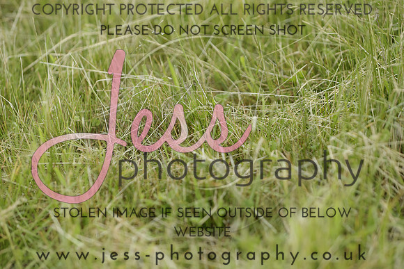 _J1_1553