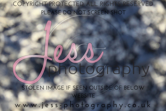 JES_5270