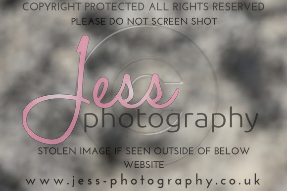 JES_6325