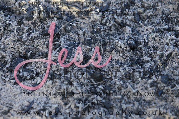 JES_5281