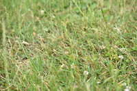 JPG_6789
