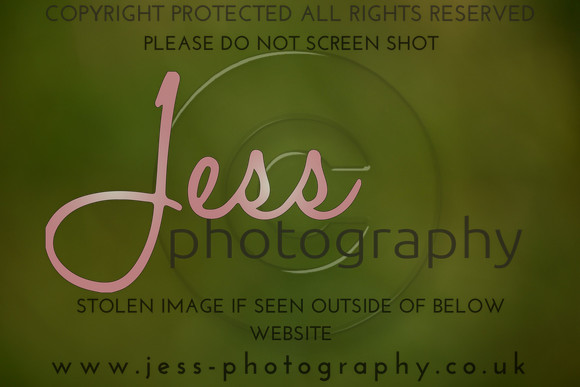 JES (292)