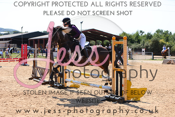 TSJ_0981
