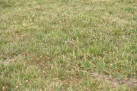 JPG_7133