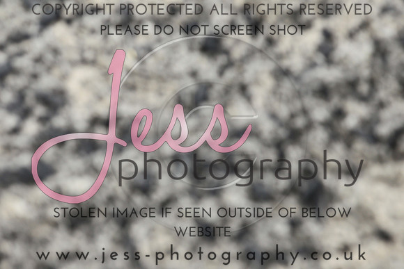 JES_6425