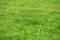 JPG_2767