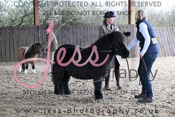 TG Feb (460)