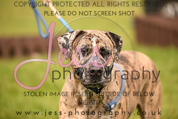 JES (21)