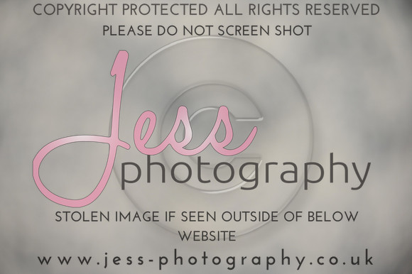 MH1_1503