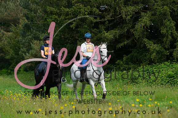 JES_8171
