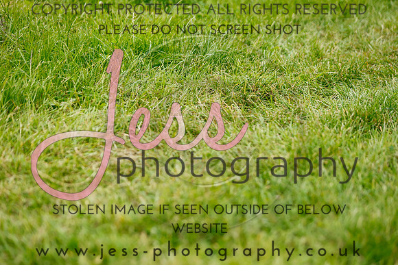 _MGM0958