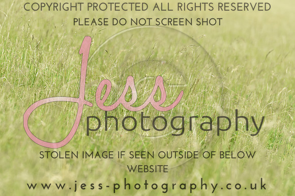 JES_8852
