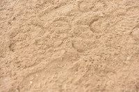 JPG_9256