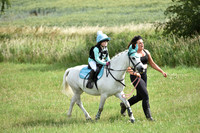 JPG_6341