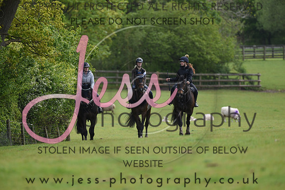 JES_4201