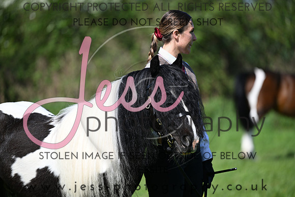 TGIS (159)