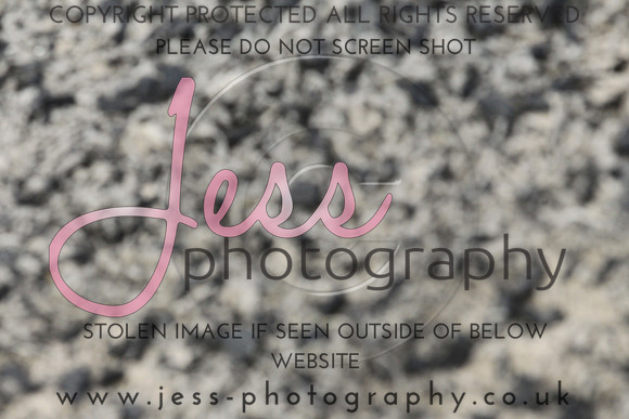 JES_6491
