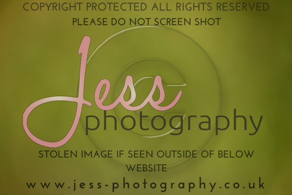 JES (193)