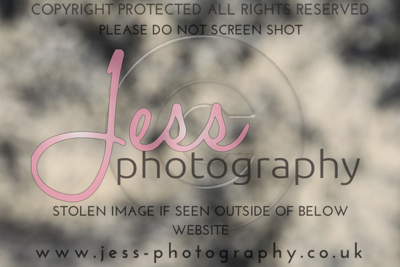JES_5677
