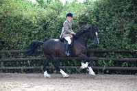 Ridden Showing