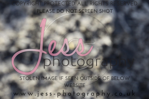 JES_5312
