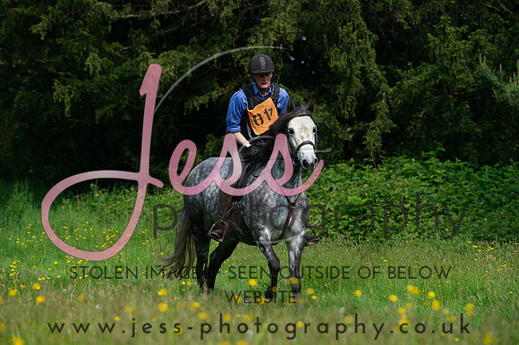 JES_8164