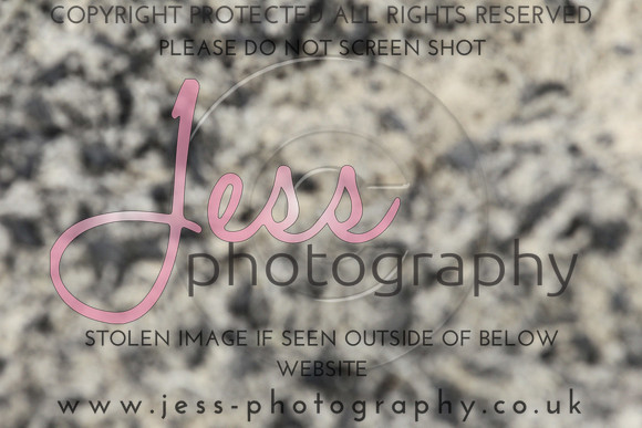 JES_6349