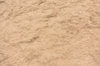 JPG_9365