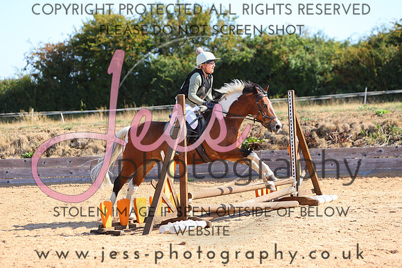 TSJ_0312