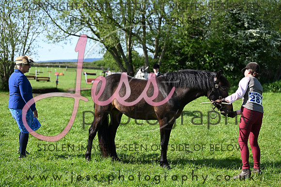 TGIS (335)