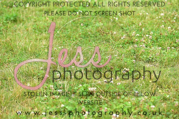 JPG_5210