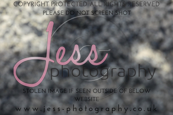 JES_5944