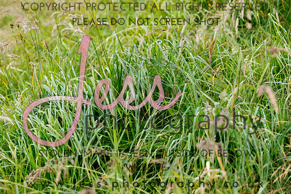 _MGM0500