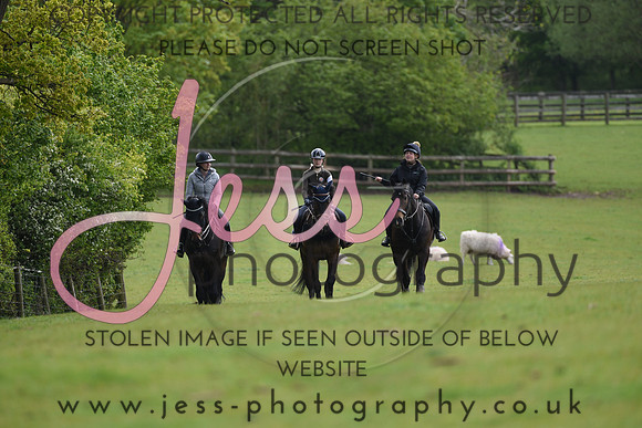 JES_4199