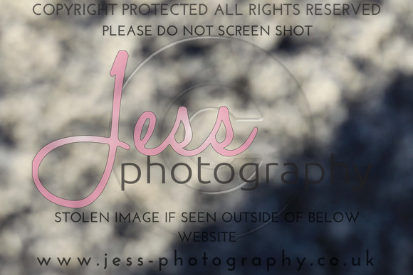 JES_5548