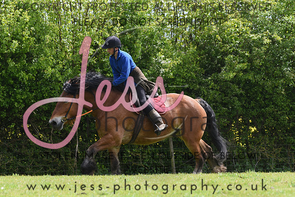 JES_4103
