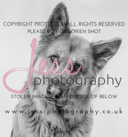 JES_6100