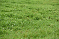 JPG_8058