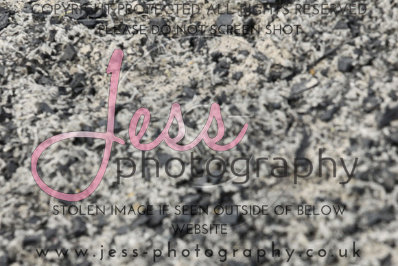 JES_6565