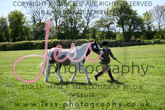 TGIS (16)