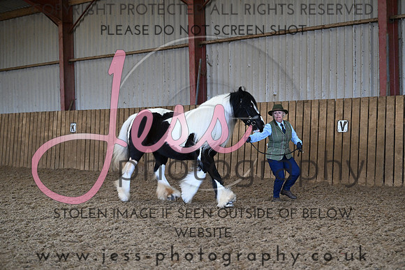 IH (16)