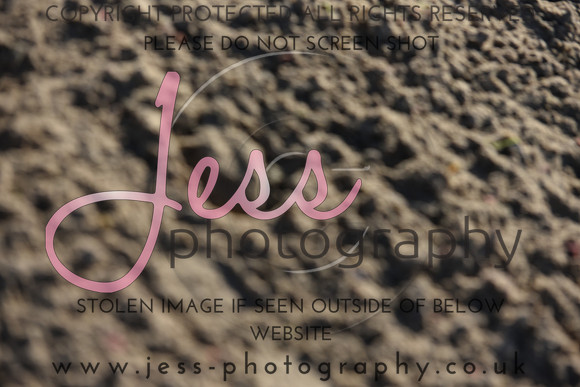 JPG_9264