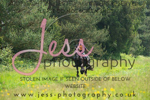 JES_8383