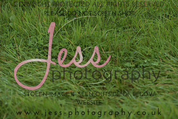 JPG_6955