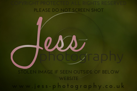 JES (282)