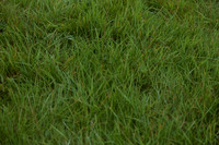 JPG_6654