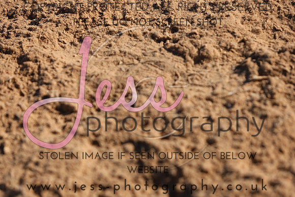 IMGM0359
