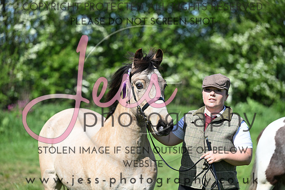 TGIS (173)